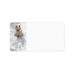 White Westie Hund in Snow Address Label Adressaufkleber
