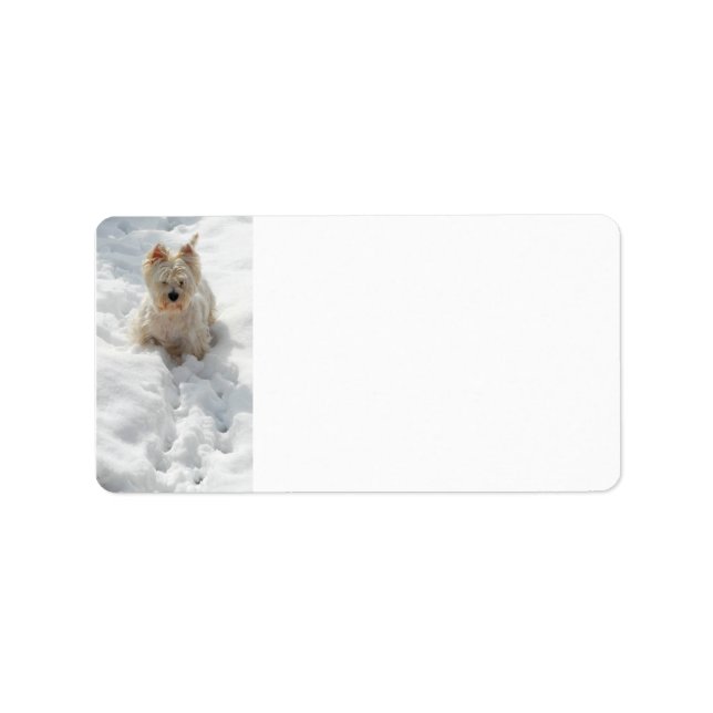 White Westie Hund in Snow Address Label Adressaufkleber (Vorne)