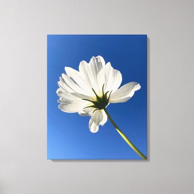 White Wild Flower Canvas Art Leinwanddruck (Vorderseite)