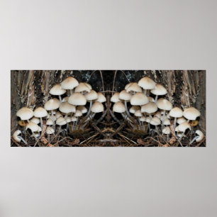White Wild Mushroom Cluster Mirror Abstrakt Poster