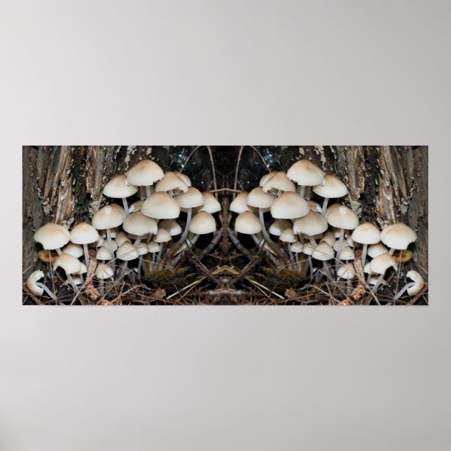 White Wild Mushroom Cluster Mirror Abstrakt Poster (Vorne)