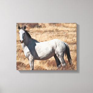 White Wild Mustang Horse Canvas Print Leinwanddruck