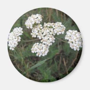 White Wildblumen Magnet