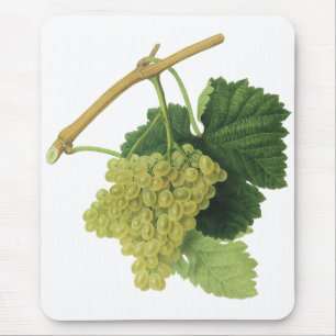 White Wine Grapes on the Vine, Vintage Food Fruit Mousepad