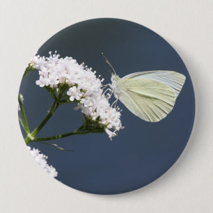 White Winged Wonder Butterfly Button