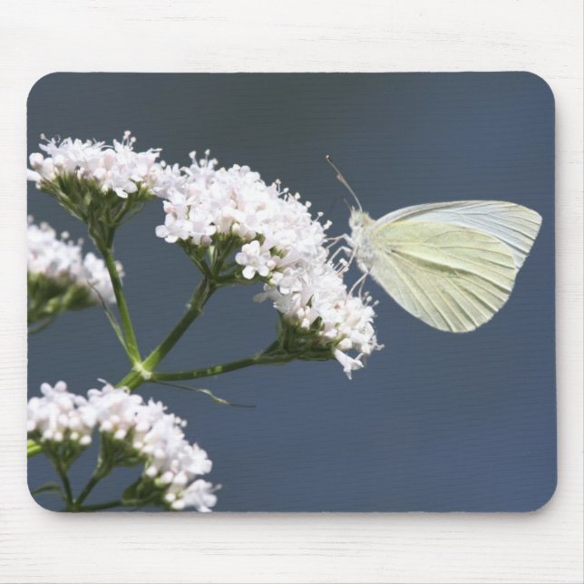 White Winged Wonder Mouse Pad Mousepad (Vorne)