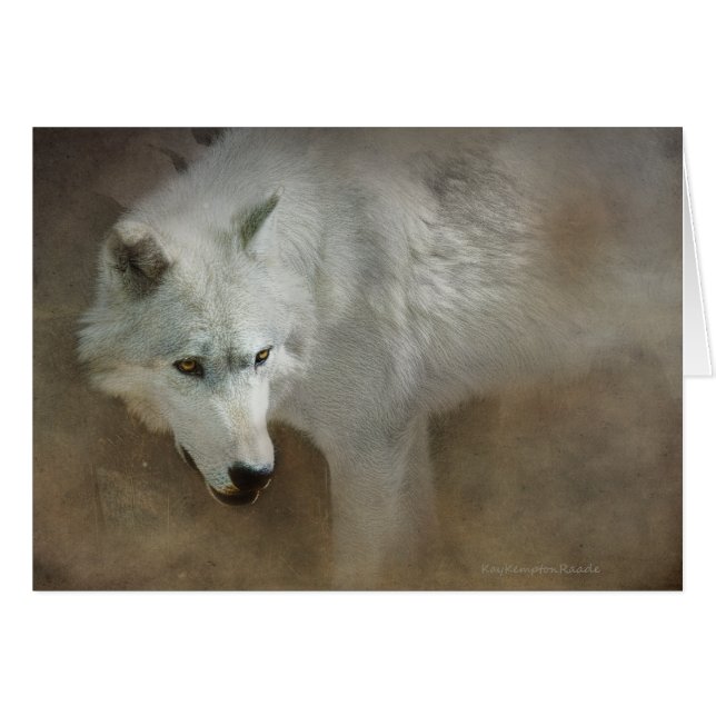 White Wolf (Vorderseite (Horizontal))