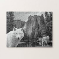 White Wolf Creek Brook Forest Landscape Poster
