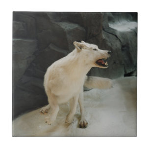 White Wolf Fliese