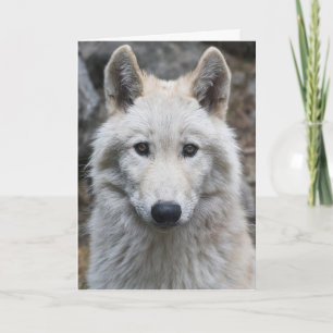 WHITE WOLF FOTOGRAFIE BIRTHDAY CARD KARTE