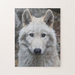 WHITE WOLF JIGSAW PUZZLE HERAUSFORDERUNG