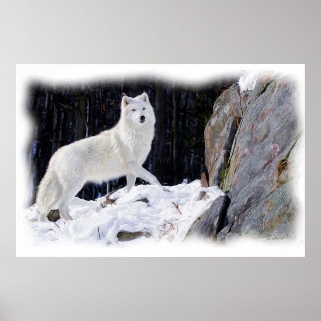 WHITE WOLF POSTER (Vorne)