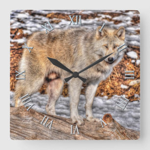 White Wolf, Schnee und Wildlife - Uhr