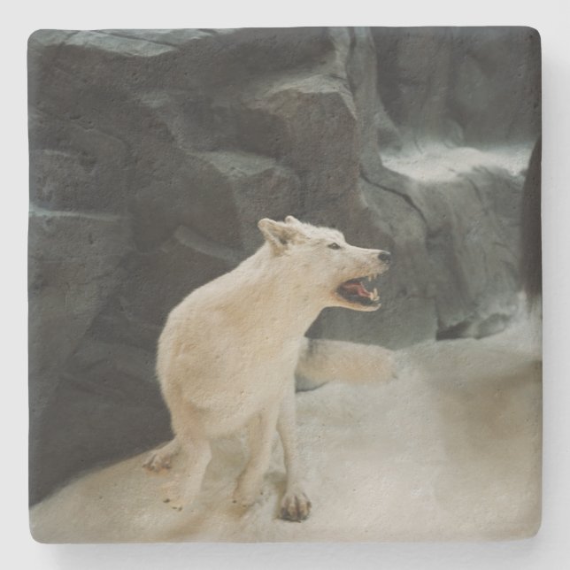 White Wolf Steinuntersetzer (Vorderseite)