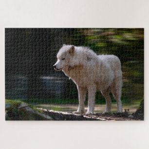 White Wolf Super Schwieriges Wildlife Puzzle