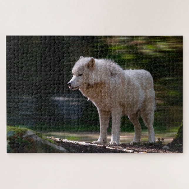 White Wolf Super Schwieriges Wildlife Puzzle (Horizontal)