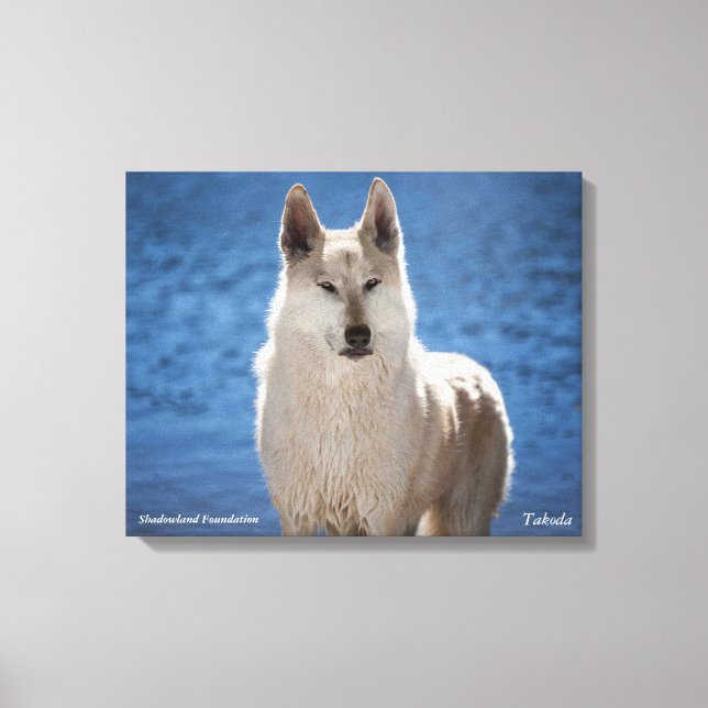White Wolf Wrapped Canvas Leinwanddruck (Vorderseite)