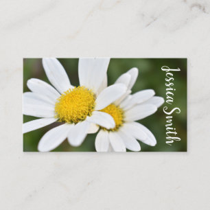 White Yellow Daisy Blume Daisies Nature Foto Visitenkarte