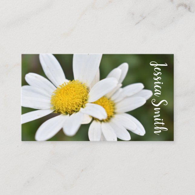 White Yellow Daisy Blume Daisies Nature Foto Visitenkarte (Vorderseite)