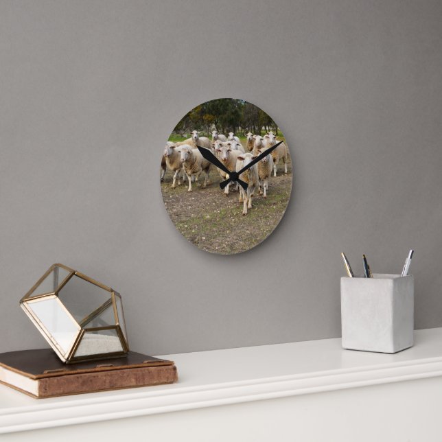 White Young Wooly Sheep, Runde Wanduhr (Büro)