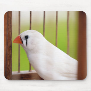 White Zebra Finch Bird in Cage Mousepad