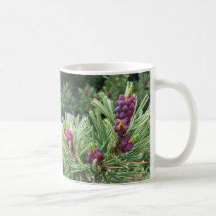 Whitebark Kiefern-Kegel-Tasse Kaffeetasse