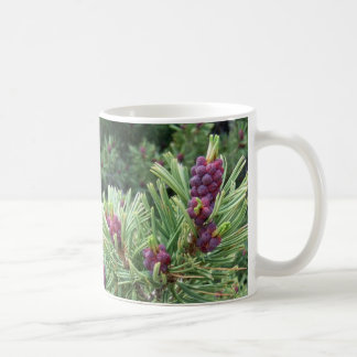 Whitebark Kiefern-Kegel-Tasse Kaffeetasse