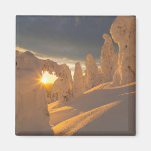 Whitefish Range   Weißfisch, Montana Magnet