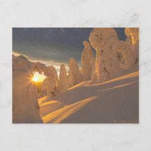 Whitefish Range   Weißfisch, Montana Postkarte