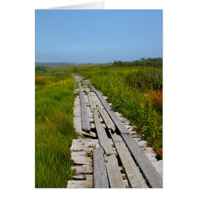 Whitehead Island, NB (Vorne)