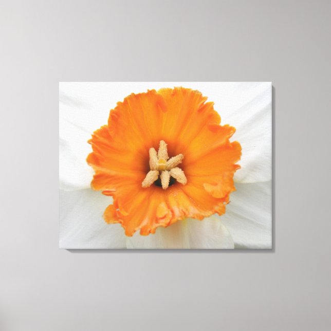 Whitelot Canvas Print Leinwanddruck (Vorderseite)