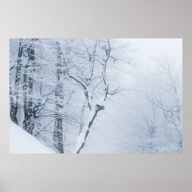 Whiteout Poster (Vorne)