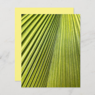 Whitepaper zum Thema "Green Fal Palm Frond"