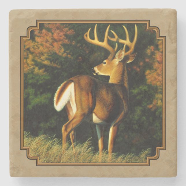 Whitetail Buck Deer Jagdtan Steinuntersetzer (Vorderseite)