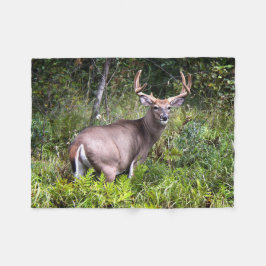 Whitetail Buck Fotografie Fleecedecke
