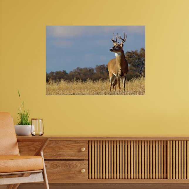 Whitetail Buck Gerahmt Print Poster (Wohnzimmer 2)
