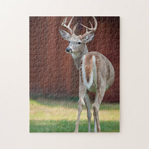 Whitetail Buck-Portrait, Missoula, Montana Puzzle