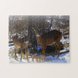 Whitetail Deer 11x14 Foto Puzzle mit Geschenkboxen