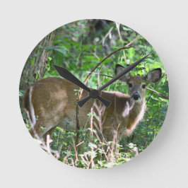 Whitetail Deer Akrylic Wall Clock Runde Wanduhr