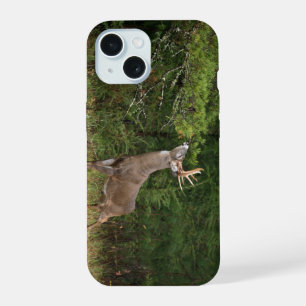 Whitetail Deer, Big Buck an der Kante machen Schro iPhone 15 Hülle