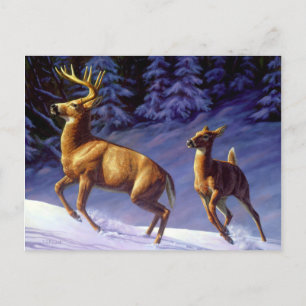 Whitetail Deer Buck & Dock im Winterschnee Postkarte