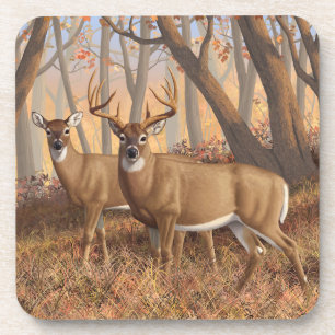 Whitetail Deer Buck & Dos Herbstmapelwald Getränkeuntersetzer
