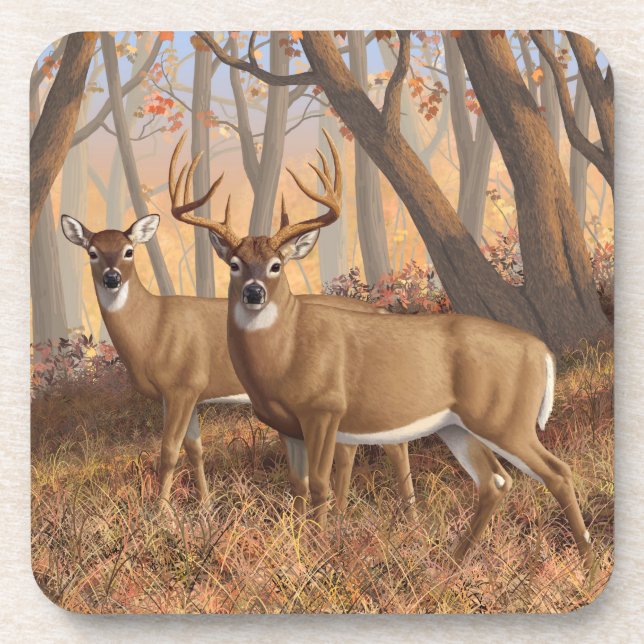 Whitetail Deer Buck & Dos Herbstmapelwald Getränkeuntersetzer (Vorderseite)