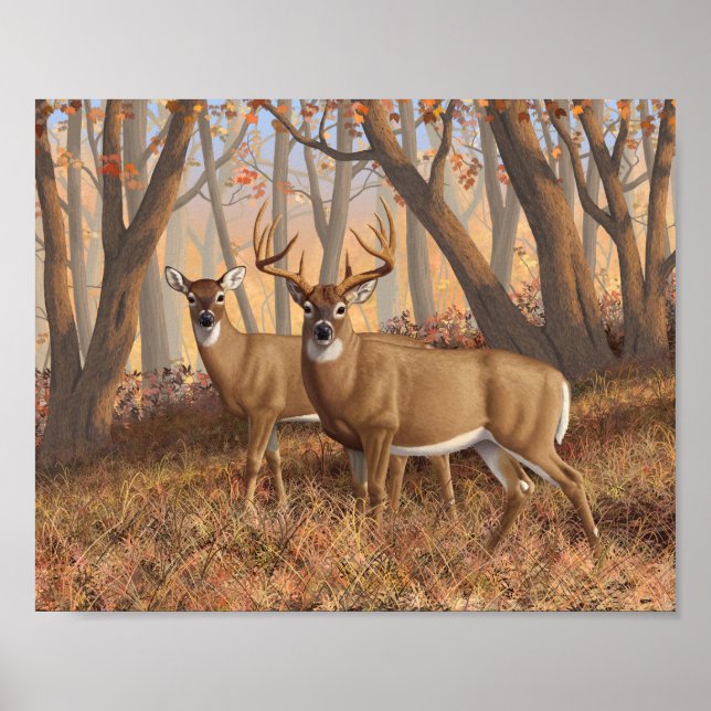 Whitetail Deer Buck & Dos Herbstmapelwald Poster (Vorne)