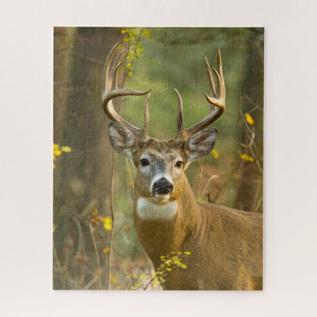 Whitetail Deer Buck | Weißfisch, Montana Puzzle (Vertikal)