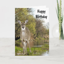 Whitetail Deer by Creek Happy Birthday for Men
