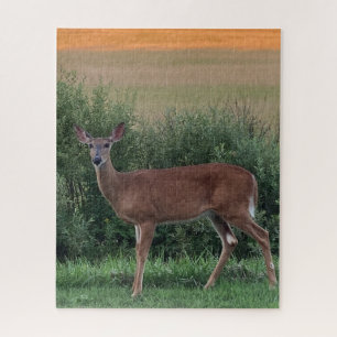 Whitetail Deer Doe Hayfield in Abend Sunset Puzzle