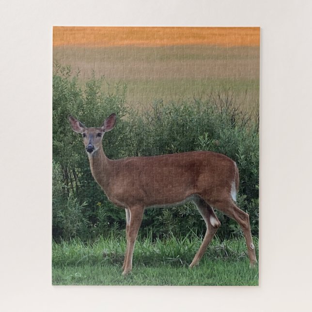 Whitetail Deer Doe Hayfield in Abend Sunset Puzzle (Vertikal)