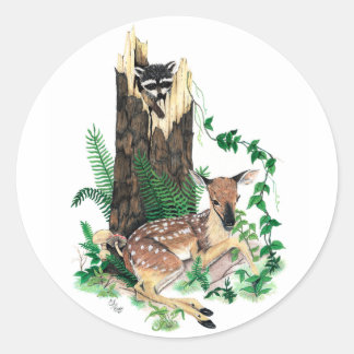 Whitetail Deer Fawn und Raccoon-Aufkleber Runder Aufkleber