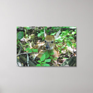 Whitetail Deer Fawn Wrapped Canvas Print Leinwanddruck